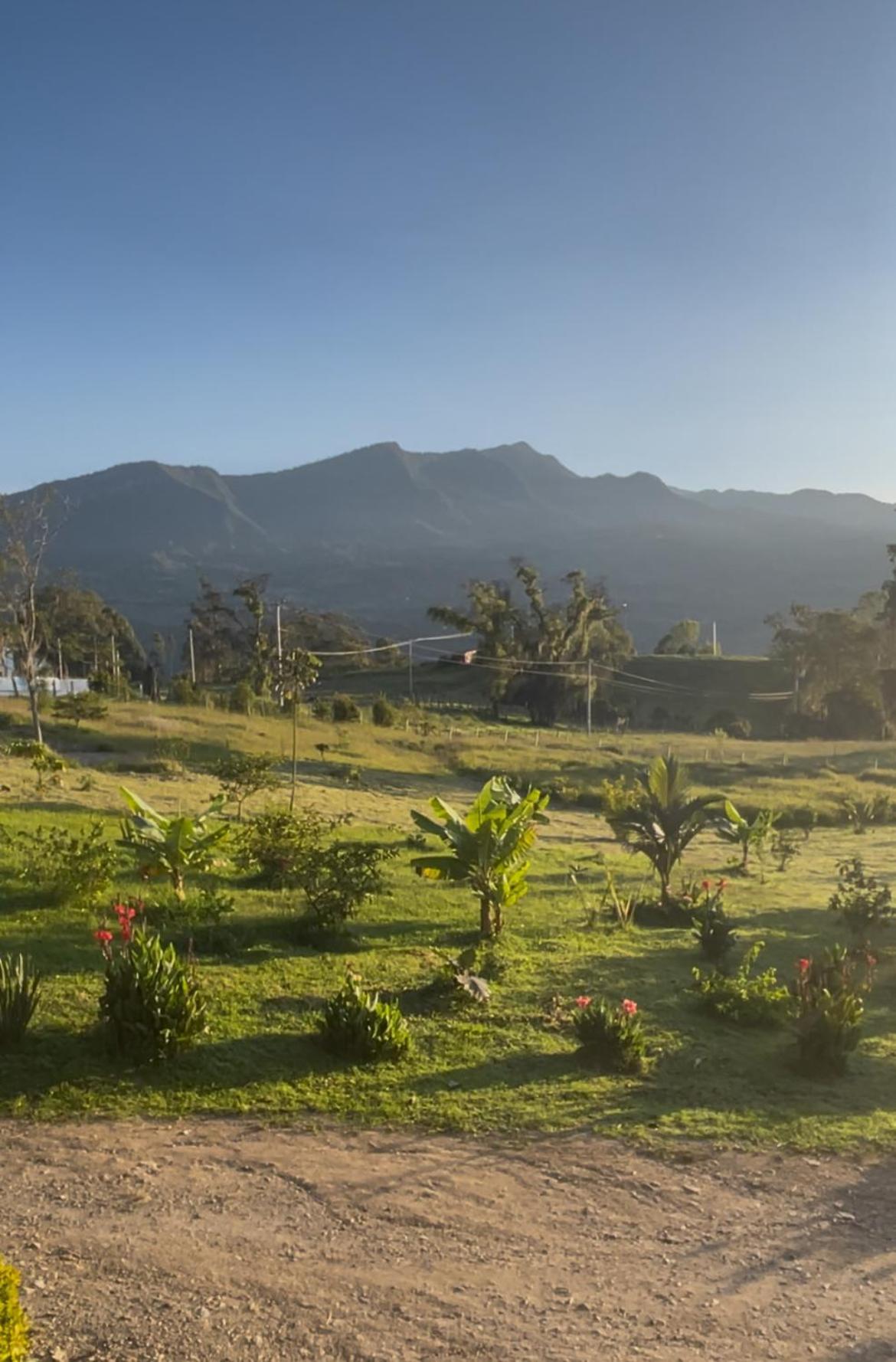 Cucuate Hospedaje Choachí Dış mekan fotoğraf